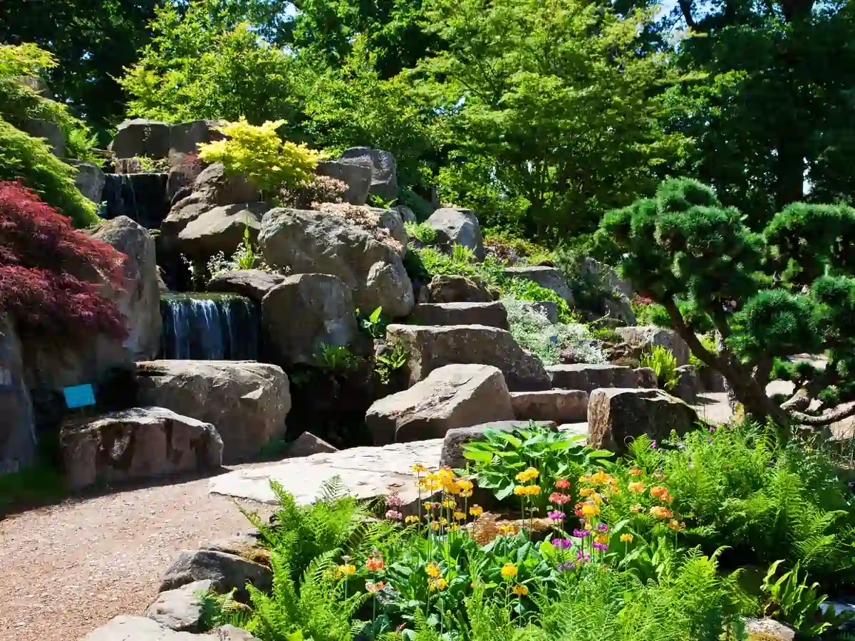 Why the Best Rockery Plants for Dry Soil Are Perfect for Beautiful Outdoor Living Spaces