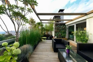 Planning a rooftop garden